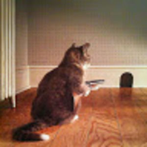 Meet your Posher, George